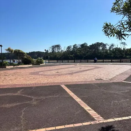 Apartment Proche Du Et Plages Soustons